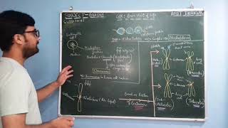 Chromosomes and Nucleoplasm  Cell  class 1  NCERT CBSE [upl. by Lennie]