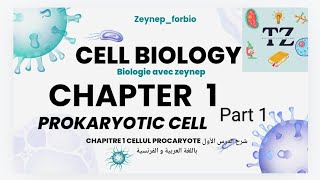 📍chapitre 1 Biologie cellulaire  La cellule procaryote part 1📍SNVmédecine agronomie شرح مبسط [upl. by Green]