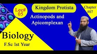 Biology Ch07Lecture05 Actinopods and Apicomplexan FSc 1st Year [upl. by Ranchod]