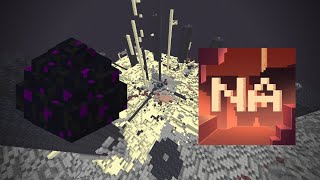 The History of Nether Anarchys Dragon Egg [upl. by Sakhuja854]