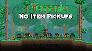 Can You Beat Terraria Without Picking Up Items [upl. by Ilka924]