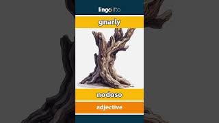 🇬🇧🇵🇹 gnarly  nodoso  vocabulary builder  learn English  vamos aprender inglês [upl. by Stieglitz]