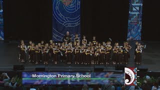 Mornington Primary School  Otago Polyfest 2017 [upl. by Jacquelin]