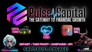 Pulse Capital SetUp [upl. by Shipman]