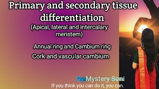 Primary and secondary tissue differentiation  Apical lateral and intercalary meristem [upl. by Eiramlatsyrk362]