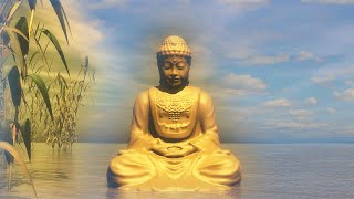 Emotional Healing No Loop Reiki Music Zen Meditation Energy Healing Meditation Music [upl. by Audwin917]