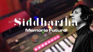 Siddhartha  Memoria Futuro  CoverKaraoke [upl. by Bakemeier]