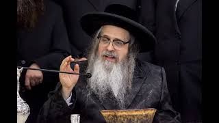 Satmar Rebbe R Zalman Leib Denouncing Neturei Karta [upl. by Belayneh794]