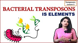 Bacterial Transposons I IS Elements I Composite and Non composite Transposons I [upl. by Almond]