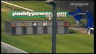 Irish Greyhound Derby 2000 [upl. by Oluas]