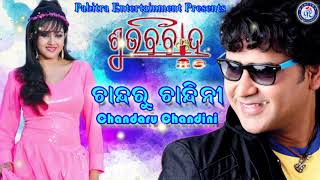 Chandaru Chandini  Odia Movie Song  Subha Bibaha  UditNarayan Ollywood [upl. by Ocihc]