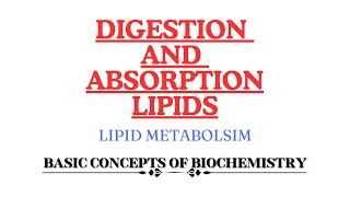 Digestion and Absorption of Lipids  Monoacyl glycerol pathway  Bergstrom theory [upl. by Bowra]