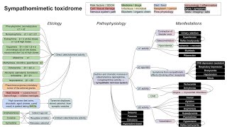 Sympathomimetic toxidrome mechanism of disease [upl. by Cogen948]