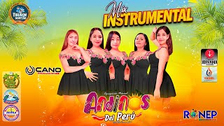 ANDINOS DEL PERU  MIX INSTRUMENTAL  PRIMICIA 2024 [upl. by Cynth]