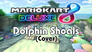 Dolphin Shoals  Mario Kart 8 Deluxe Cover [upl. by Ij]