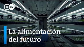 Soluciones para alimentar al mundo en el futuro [upl. by Osmond]