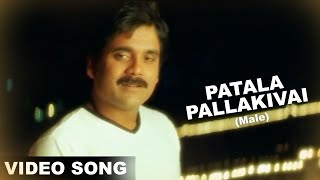 Patala Pallakivai Male Video Song  Nuvvu Vasthavani Movie  Nagarjuna Simran  Volga Musicbox [upl. by Ymaral]