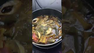 Ilish ranna food hommade cookingfood recipe lunch [upl. by Reinke]