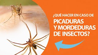 ¿Qué hacer en caso de picaduras y mordeduras de insectos [upl. by Onivla]