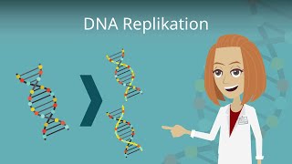 DNA Replikation einfach erklärt [upl. by Arturo]