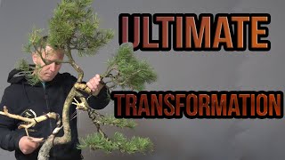 Ultimate transformation [upl. by Moreta]