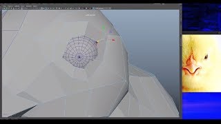 chickens Bird 3D modeling in Maya [upl. by Reni]