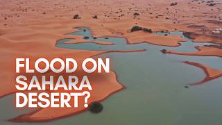 Sahara Desert Floods for First Time in Decades Scientists are PANICKING [upl. by Ulphiah989]