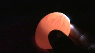 Candling Chick Eggs  Day 7 [upl. by Rebmaed]