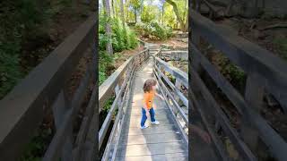 Gristmill at Stone Mountain Georgia [upl. by Berky408]