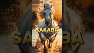 Horse name of prophet Muhammad SAWislmicvideo shortfeed top [upl. by Crean896]