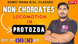 Locomotion In Protozoa  Non Chordates  Sumit Rana Sir [upl. by Kermy]