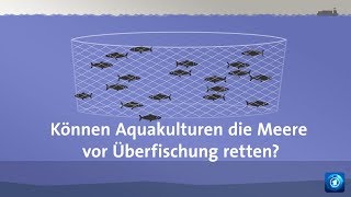 Überfischung Helfen Aquakulturen [upl. by Telfore]