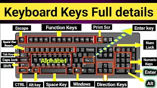 Keyboard keys full details  Keyboard keys full information shortcuts [upl. by Jacqui]