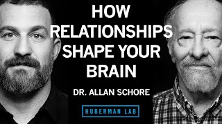 Dr Allan Schore How Relationships Shape Your Brain [upl. by Feirahs871]