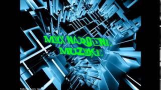 MIX NARODNE MUZIKE 2014 [upl. by Joana248]