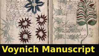 Discoveries Within the Voynich Manuscript [upl. by Anitsrik]