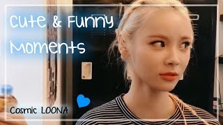 LOONA JinSoul Cute and Funny Moments [upl. by Fitzhugh]