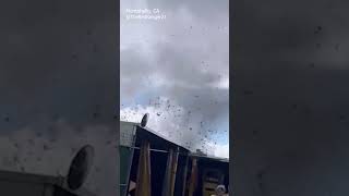 Wild weather Possible tornado rips off roofs in Los Angeles County [upl. by Yenohtna499]