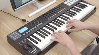 Aiersi Worlde Brand 49 Keys 8 Pads Digital Midi Controller PANDA49 [upl. by Ollie]