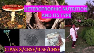 HETEROTROPHIC NUTRITION AND ITS TYPE [upl. by Benildis532]