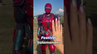 Festival Salamander [upl. by Athalie]