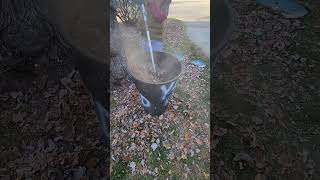 Leaf Wacker Composter String Trimmer Reduce Leaves by 90 lithiumbattery compost gardening [upl. by Gnouc837]