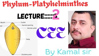 Platyhelminthes phylum  Cee Zoology by Nepali teacher Kamal sir [upl. by Annahc]