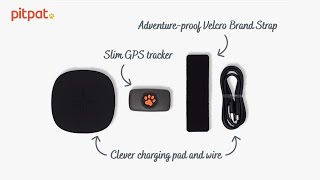 Unboxing the PitPat Dog GPS Tracker [upl. by Aenel]