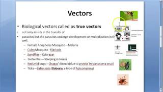 Parasitology 002 a Vectors Vector Borne diseases Biological Mechanical Mosquito malaria housefly [upl. by Suzi]