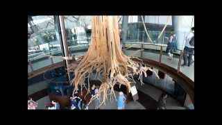 COSMOCAIXA BARCELONA Nº1wmv [upl. by Allys848]