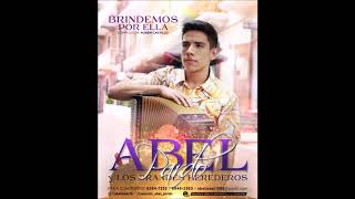 Abel Pardo  Brindemos Por Ella AUDIO OFICIAL [upl. by Barrow]