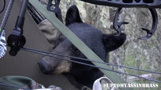 Bear Climbs into Tree Stand with Hunter [upl. by Archibald]