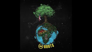 roots mcm nsg NSG  MCM LYRICS [upl. by Merrielle704]