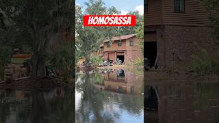 Homosassa Florida [upl. by Platus]